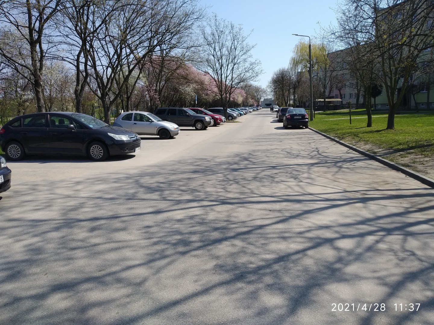 Na zdjęciu widać osiedlową uliczkę, drzewa, parkujące samochody i bloki